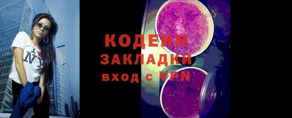 хмурый Арсеньев