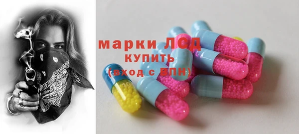 хмурый Арсеньев
