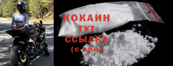 хмурый Арсеньев