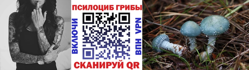 Галлюциногенные грибы GOLDEN TEACHER  darknet официальный сайт  Ряжск  наркотики 